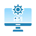 Custom API integration