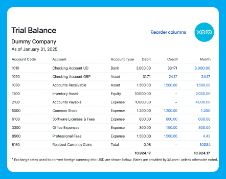 xero-trial-balance-report-demo-company-january-25 (1)