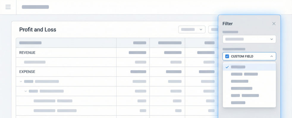 QuickBooks Profit and Loss report with custom field filter applied for detailed financial analysis