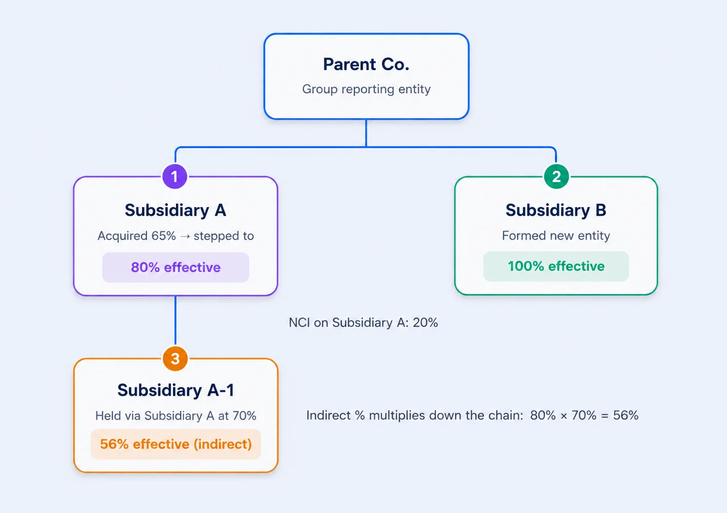 Corporate ownership structure showing parent company, subsidiaries and direct and indirect effective ownership percentages